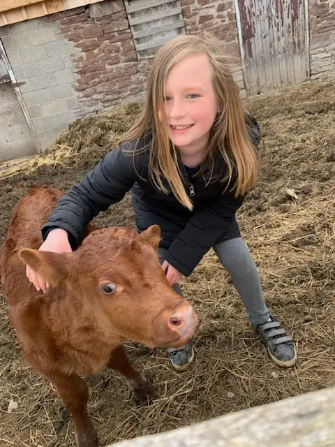 O'Hara Site Image 241