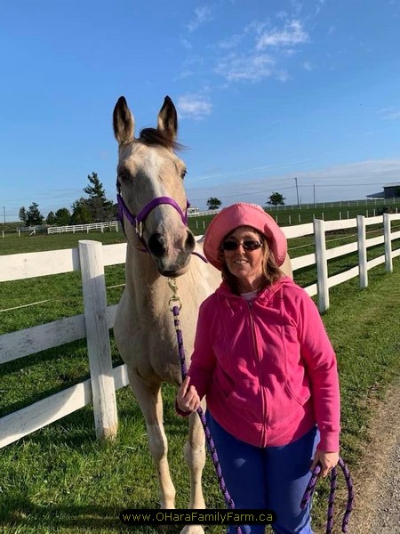 O'Hara Site Image 243