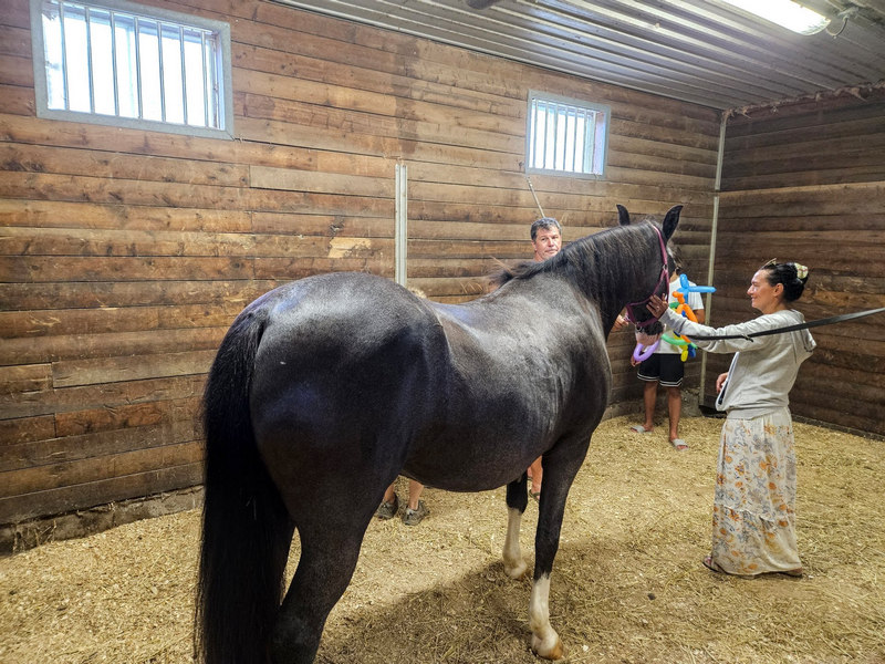 O'Hara Site Image 223