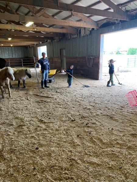 O'Hara Site Image 215